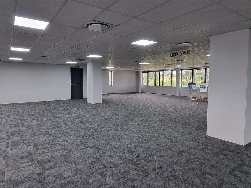 A spacious, open-plan office area featuring modern carpet tiles, a suspended ceiling with recessed lighting, and large windows providing ample natural light.
