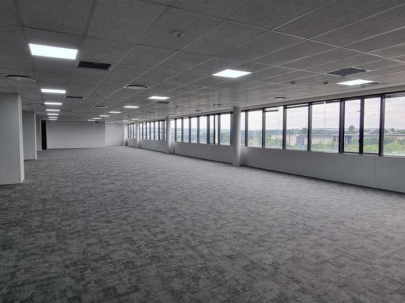 Spacious open-plan office area featuring carpeted flooring, suspended ceilings with recessed lighting, and extensive floor-to-ceiling windows offering natural light and exterior views.