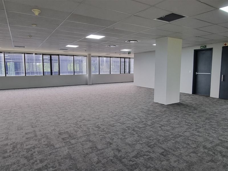 A spacious, open-plan office area featuring neutral carpeting, suspended ceilings with recessed lighting, and large windows providing ample natural light.