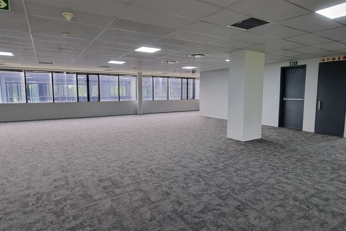 A spacious, open-plan office area featuring neutral carpeting, suspended ceilings with recessed lighting, and large windows providing ample natural light.