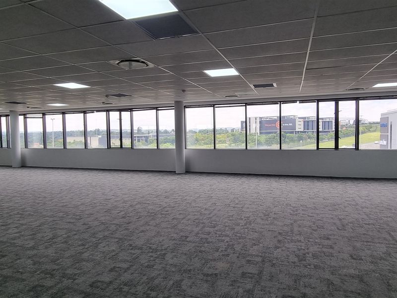 A spacious, open-plan office area featuring large windows, carpeted flooring, and a modern suspended ceiling with recessed lighting.