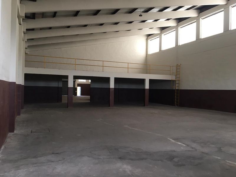 Spacious industrial warehouse area featuring a mezzanine level with safety railing, fixed ladder access, concrete flooring, and high-pitched roof with clerestory windows.