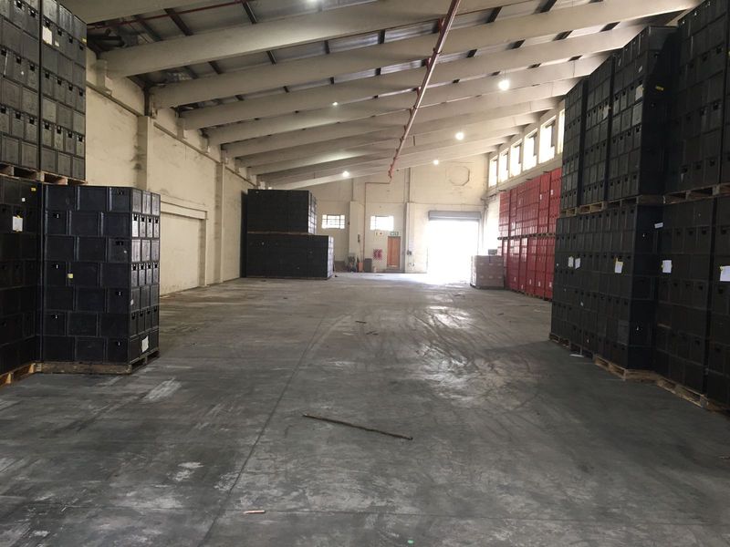Spacious industrial warehouse featuring high ceilings with exposed trusses, concrete flooring, fire sprinkler system, and large roller shutter access.
