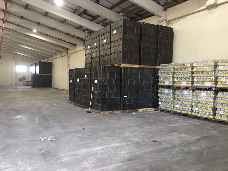 Spacious industrial warehouse unit featuring high ceilings with exposed steel trusses, concrete flooring, and ample storage capacity for logistics or manufacturing operations.