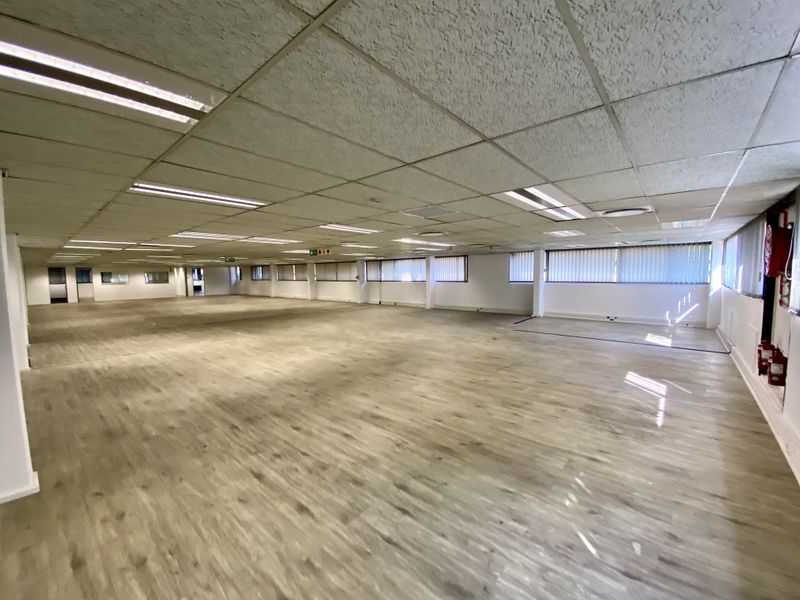 A large, open-plan office space featuring suspended ceilings, recessed lighting, and wood-look laminate flooring, offering a versatile layout for various business configurations.
