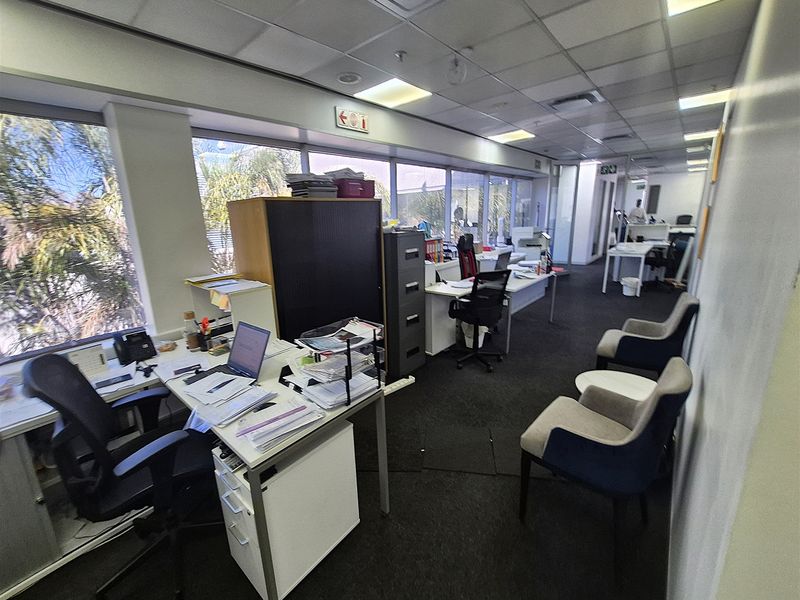 Open-plan office space featuring large windows, suspended ceilings with recessed lighting, and carpeted flooring, providing a functional workspace environment.