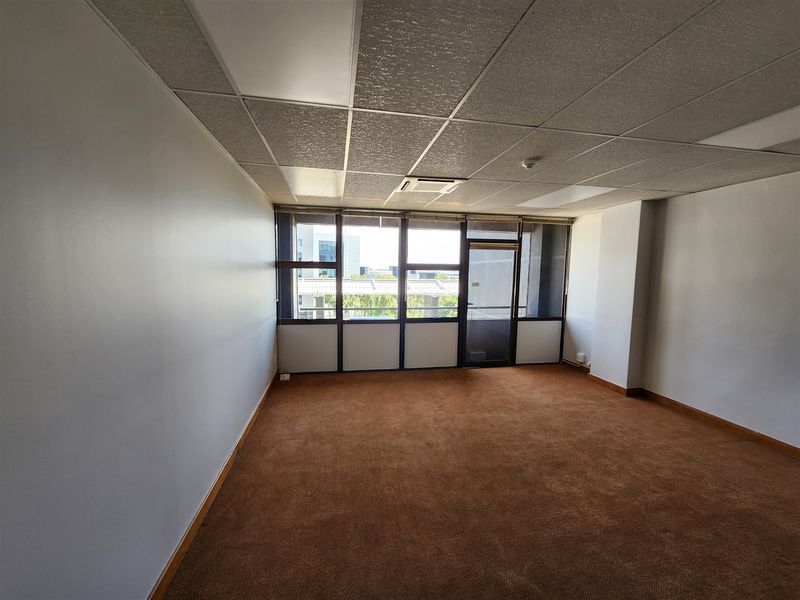 A vacant office space featuring large windows, suspended ceiling tiles, and carpeted flooring, offering a bright and functional workspace.
