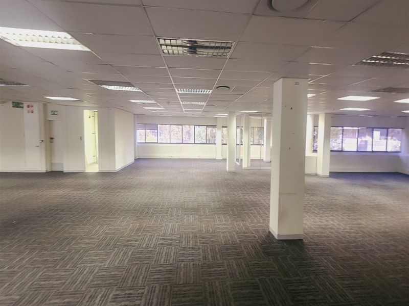 A spacious, open-plan office area featuring suspended ceilings, recessed lighting, and large windows, providing a versatile workspace ready for custom fit-out.