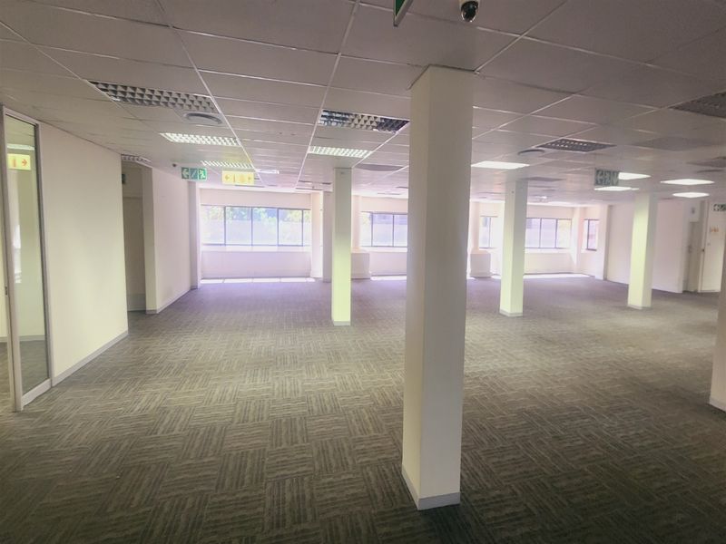 A spacious, open-plan office area featuring suspended ceilings, recessed lighting, carpeted flooring, and multiple structural columns, offering a versatile workspace layout.