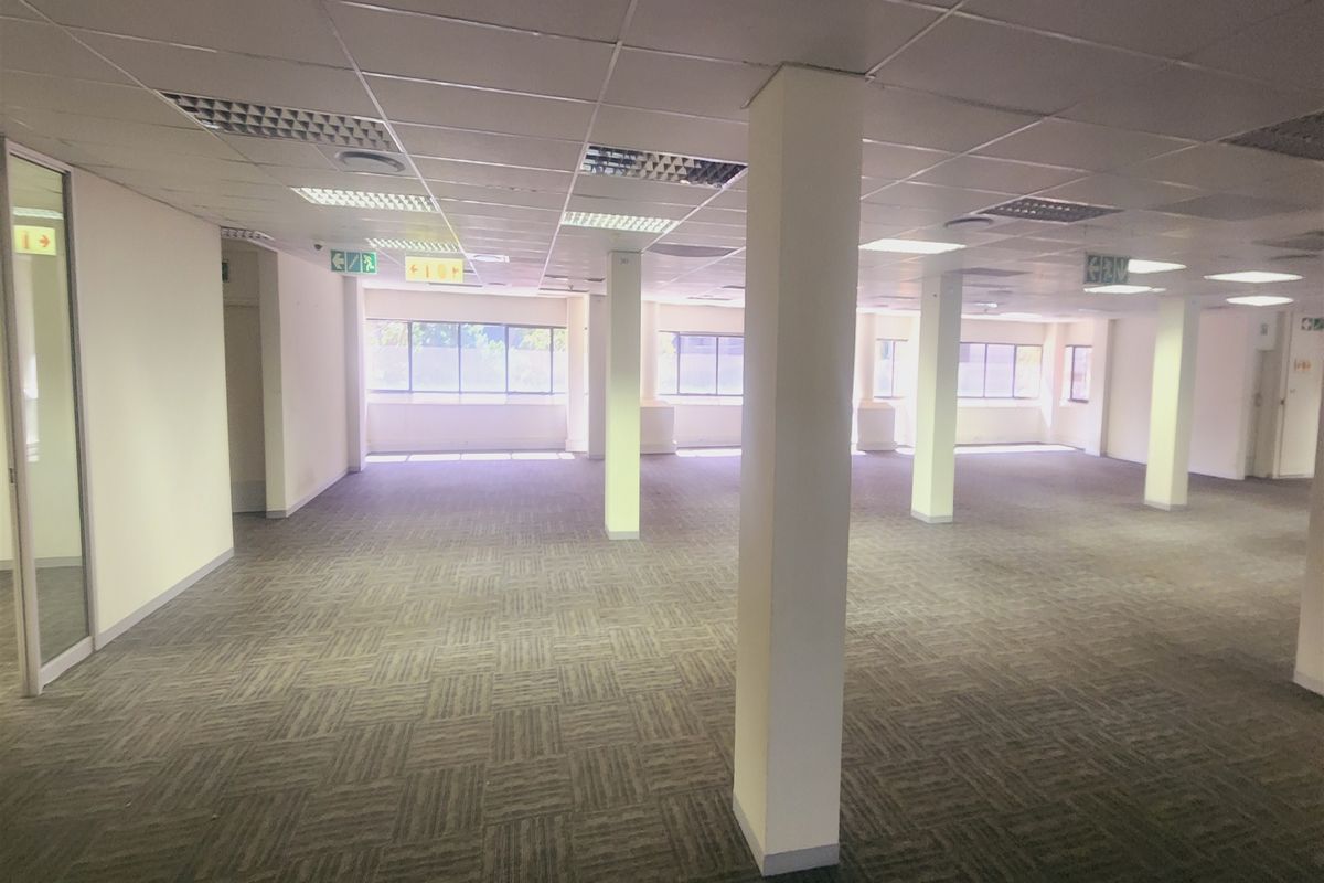 A spacious, open-plan office area featuring suspended ceilings, recessed lighting, carpeted flooring, and multiple structural columns, offering a versatile workspace layout.