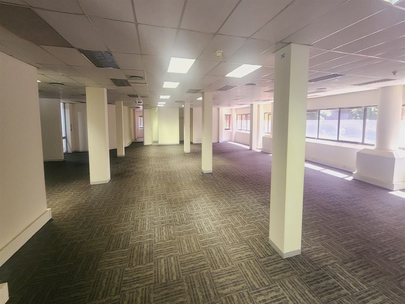 A spacious, open-plan office area featuring a suspended ceiling, recessed lighting, carpet tiles, and large windows providing ample natural light.