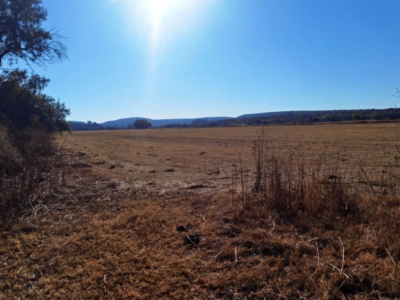 Water-rich Cattle Farm - Photo 10