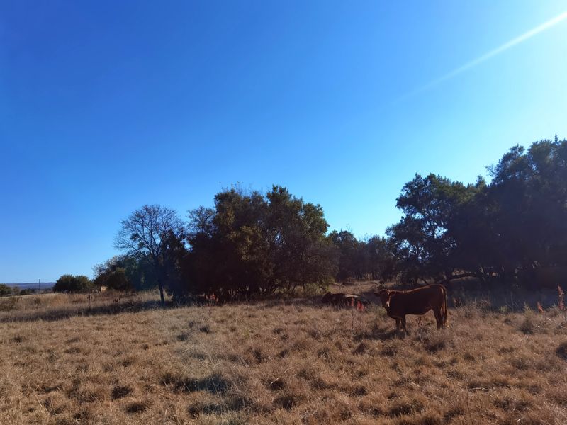 Water-rich Cattle Farm - Photo 8