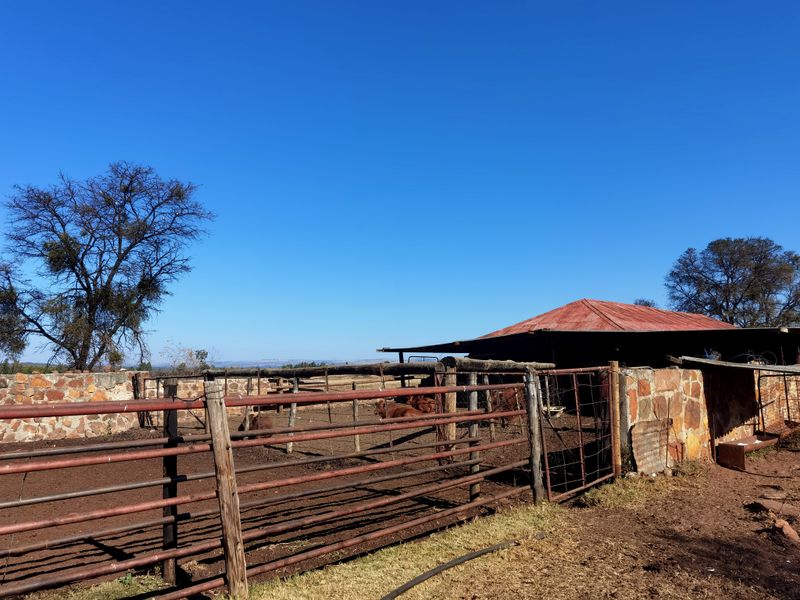 Water-rich Cattle Farm - Photo 4