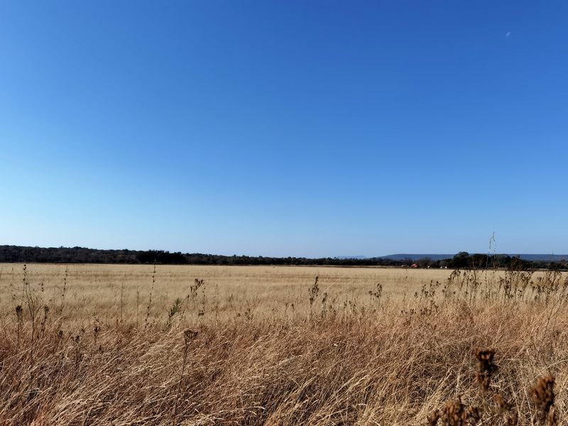 Water-rich Cattle Farm - Photo 9