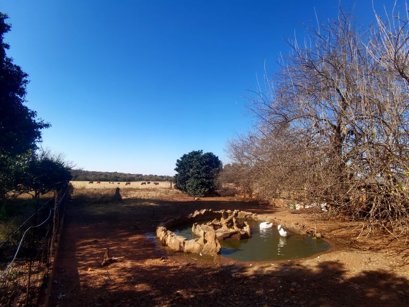 Water-rich Cattle Farm - Photo 5