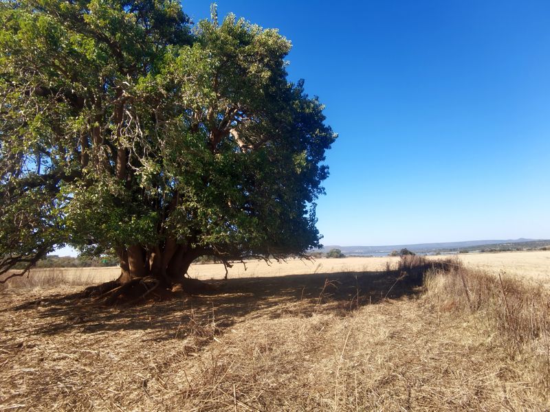 Water-rich Cattle Farm - Photo 7
