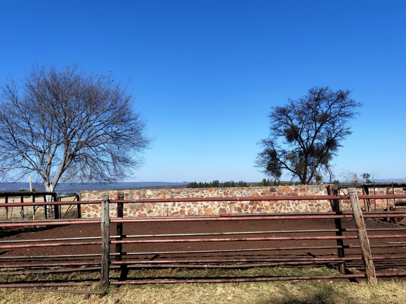 Water-rich Cattle Farm - Photo 3