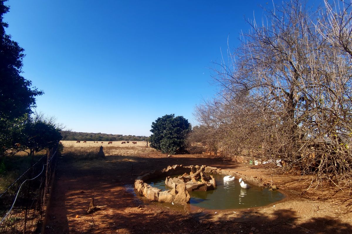 A rural garden area featuring a stone-lined pond and wire fencing, set against an open farm landscape.