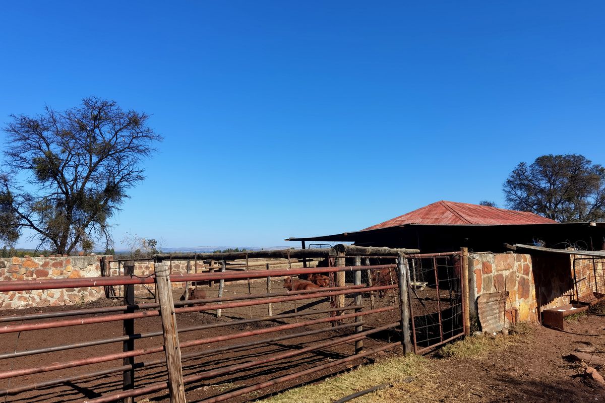 A rustic farm livestock enclosure featuring stone walls, metal fencing, and a corrugated iron roof structure set within a rural landscape.