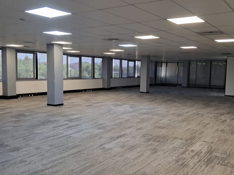 Spacious open-plan office area featuring suspended ceiling tiles, recessed lighting, large windows providing natural light, and neutral carpet flooring.