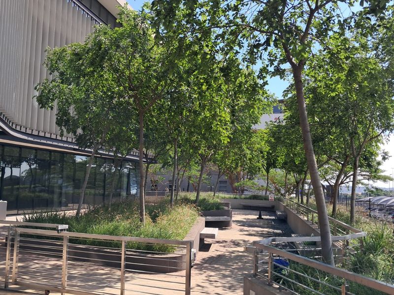 A landscaped outdoor terrace area featuring paved walkways, integrated concrete seating, and mature trees adjacent to the modern office building facade.