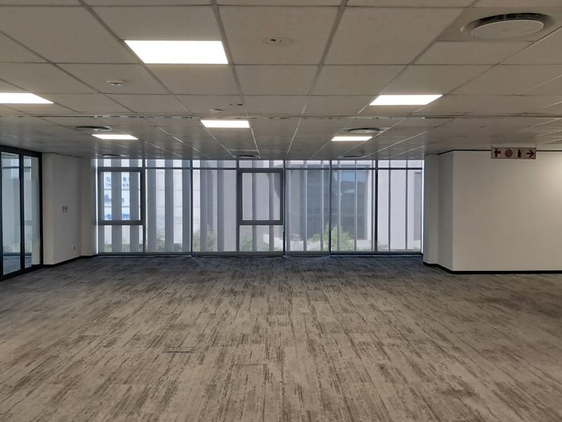 A spacious, open-plan office area featuring a suspended acoustic ceiling, recessed lighting, floor-to-ceiling windows, and neutral carpeting.