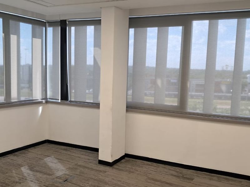 A bright, empty office space featuring large windows with fitted roller blinds, neutral carpeting, and a central structural pillar.