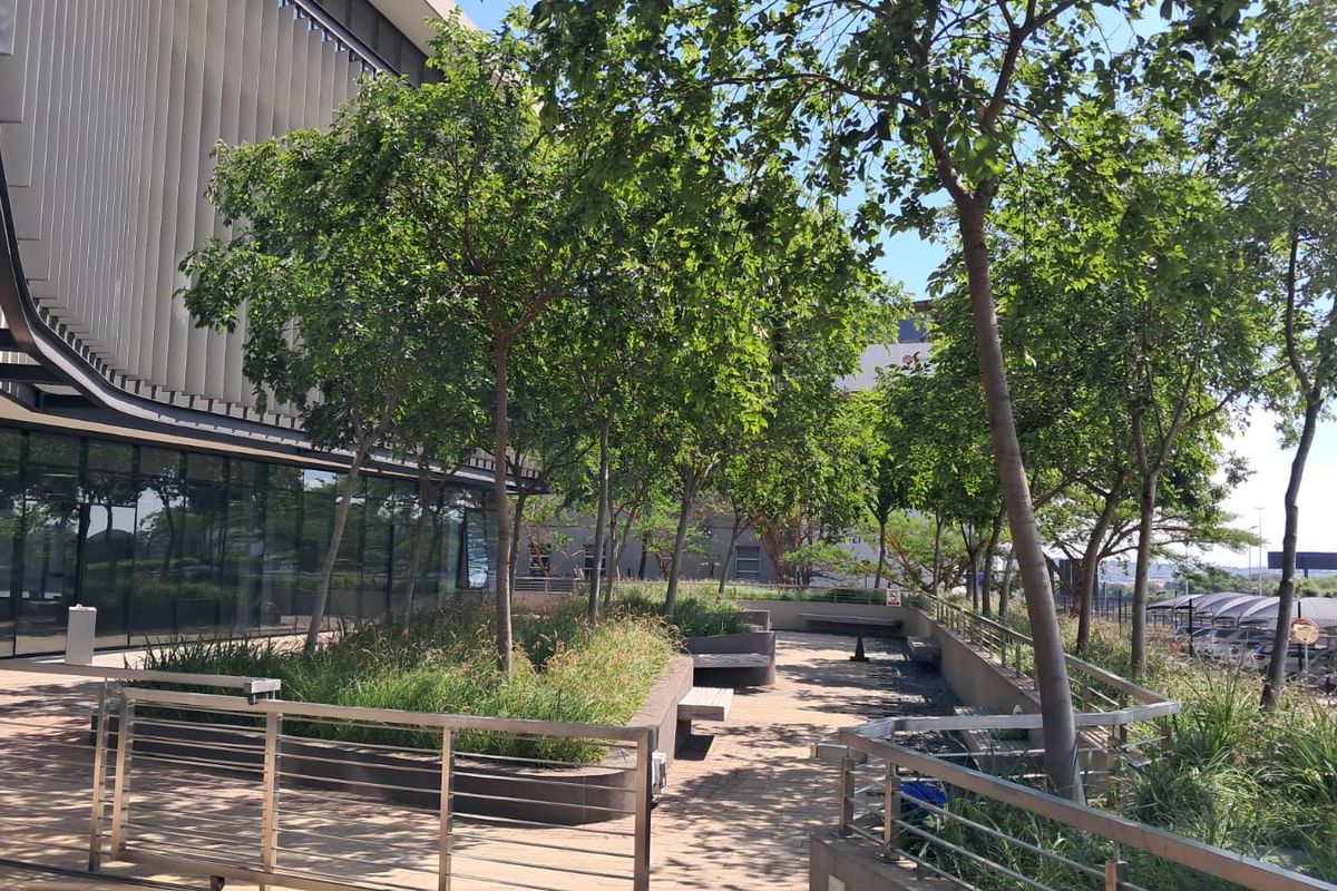 A landscaped outdoor terrace area featuring paved walkways, integrated concrete seating, and mature trees adjacent to the modern office building facade.
