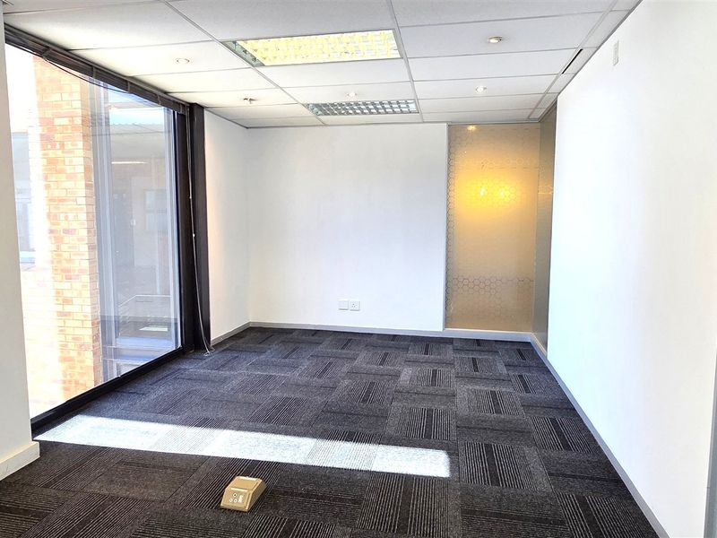 A bright, vacant office space featuring modern carpet tiles, a suspended ceiling with recessed lighting, and large windows providing natural light.
