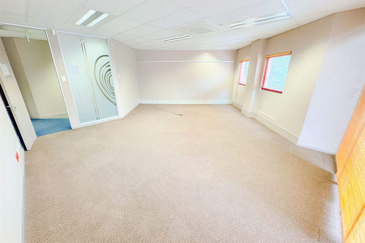 A spacious, empty office suite featuring neutral carpeting, a suspended ceiling with recessed lighting, and a modern frosted glass partition.