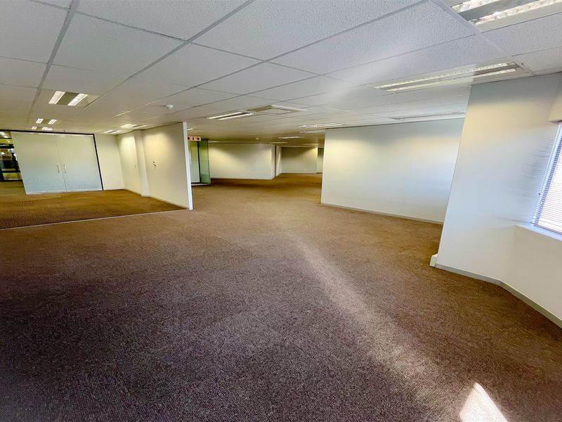 A spacious, open-plan office area featuring a suspended ceiling with recessed lighting, carpeted flooring, and large windows with venetian blinds.