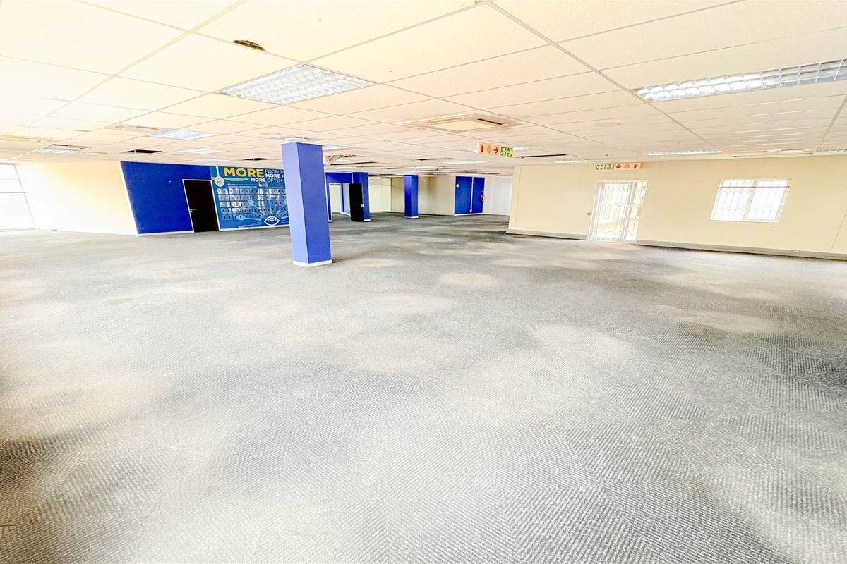 A large, open-plan office space featuring a suspended ceiling, recessed lighting, and carpeted flooring, currently vacant and ready for customization.