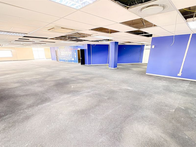 Large open-plan office space featuring carpeted flooring and a suspended ceiling system that requires maintenance and repair.