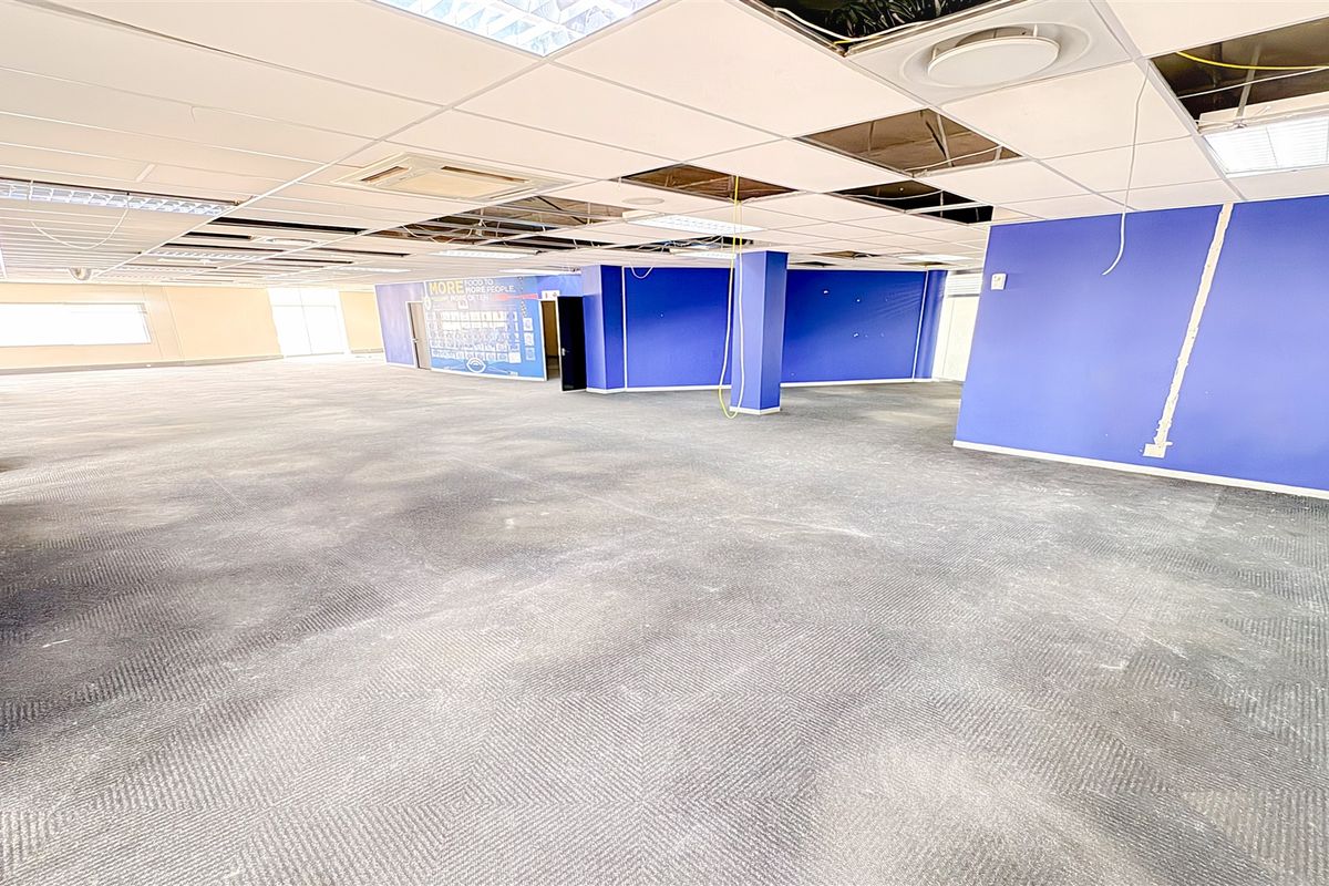 Large open-plan office space featuring carpeted flooring and a suspended ceiling system that requires maintenance and repair.