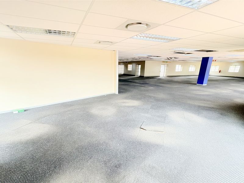 A large, open-plan office space featuring suspended ceilings, recessed lighting, and carpeted flooring, currently vacant and ready for custom fit-out.