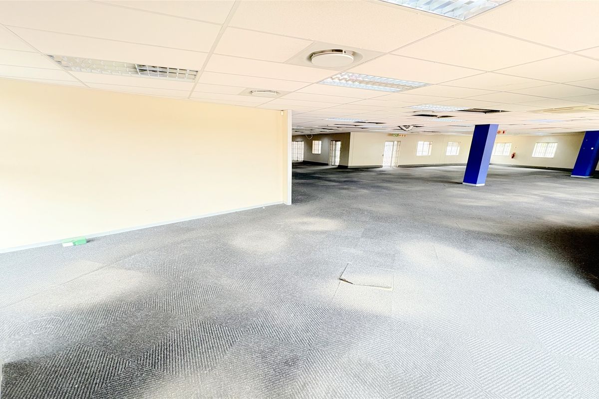 A large, open-plan office space featuring suspended ceilings, recessed lighting, and carpeted flooring, currently vacant and ready for custom fit-out.