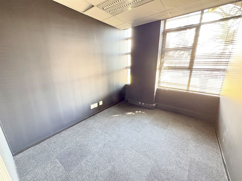 A vacant office space featuring dark painted walls, carpet tile flooring, a suspended ceiling with recessed lighting, and large windows with fitted venetian blinds.