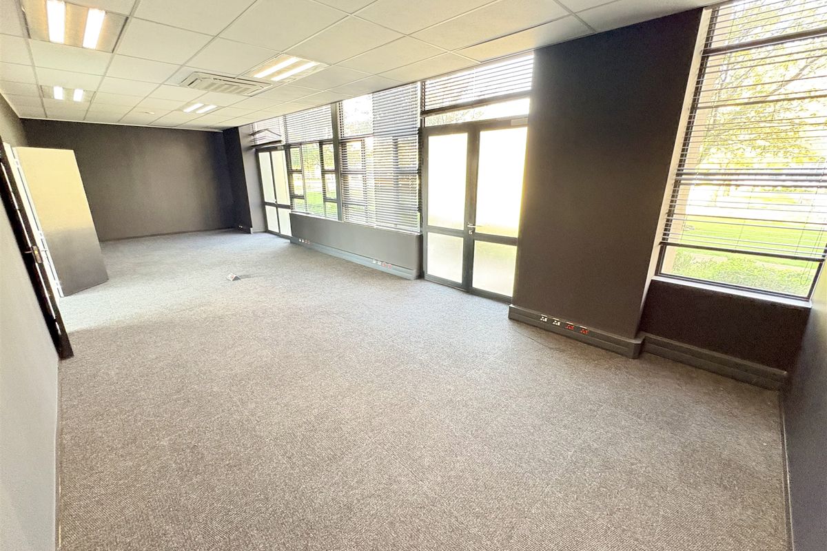 A spacious, empty office suite featuring neutral carpeting, a suspended ceiling with recessed lighting, and large windows providing ample natural light.