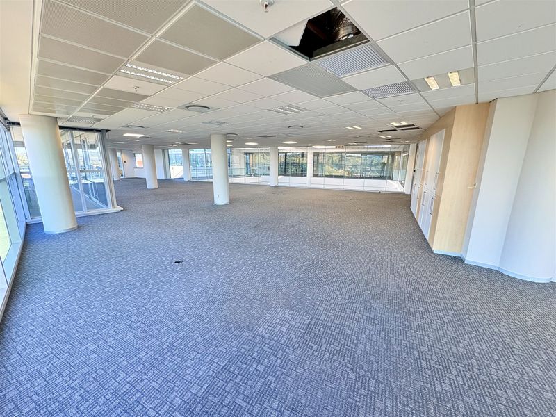 Spacious open-plan office area featuring carpeted flooring, glass partitioning, built-in storage cabinetry, and a suspended ceiling with some maintenance required.