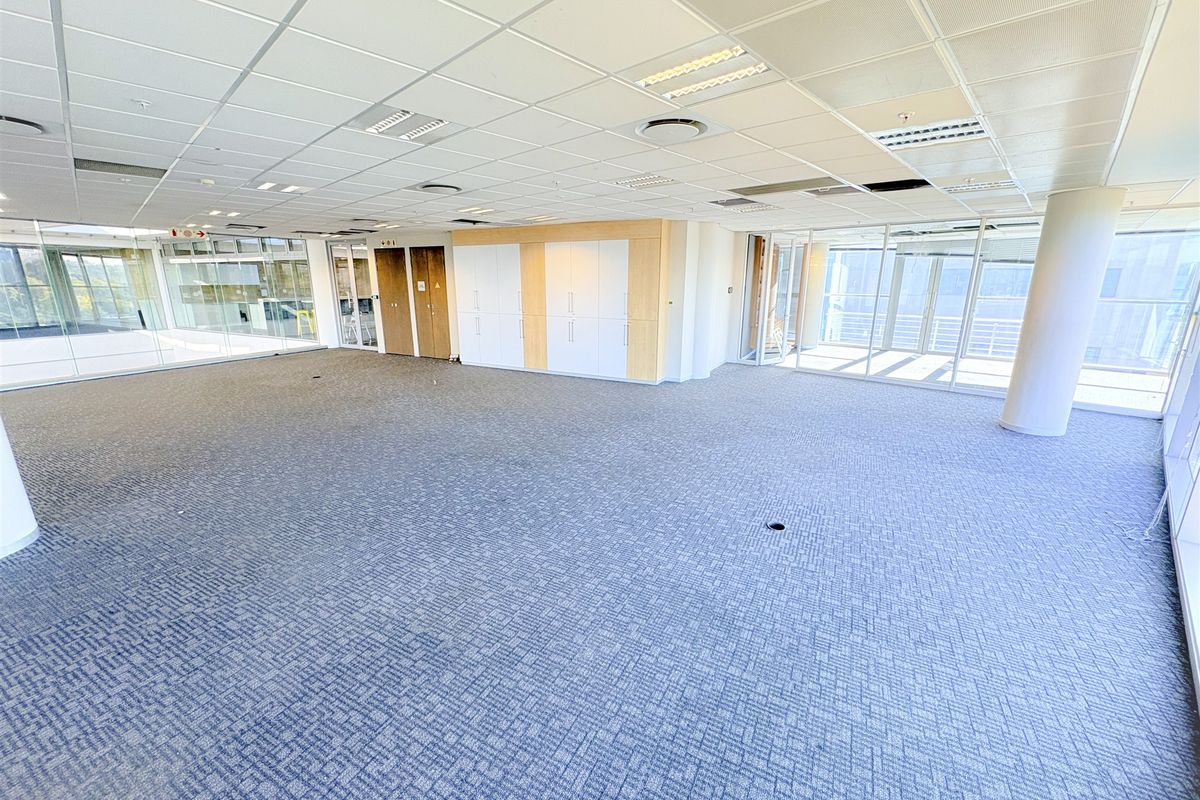 Spacious open-plan office area featuring glass partitioning, built-in storage cabinetry, carpeted flooring, and a suspended ceiling with integrated lighting.