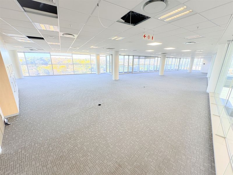 A spacious, open-plan office area featuring large floor-to-ceiling windows, carpeted flooring, and a suspended ceiling with recessed lighting.