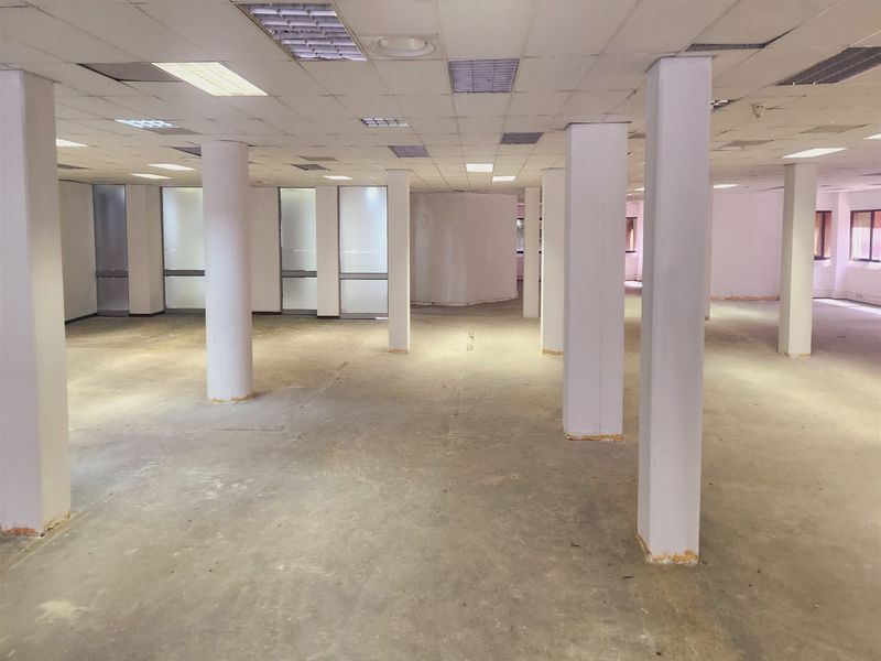 Spacious open-plan office area featuring structural columns, suspended ceilings with recessed lighting, and frosted glass partitions, ready for custom fit-out.