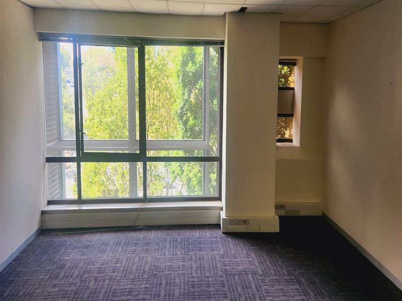 An empty office space featuring large windows with natural light, carpeted flooring, and a suspended ceiling, ready for customization.