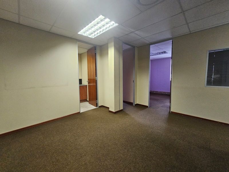An empty office space featuring carpeted flooring, suspended ceilings with recessed lighting, and multiple internal doorways leading to adjacent rooms.