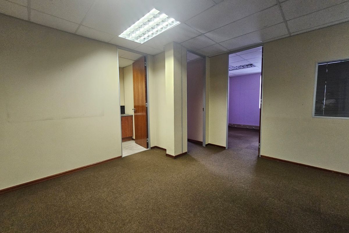 An empty office space featuring carpeted flooring, suspended ceilings with recessed lighting, and multiple internal doorways leading to adjacent rooms.