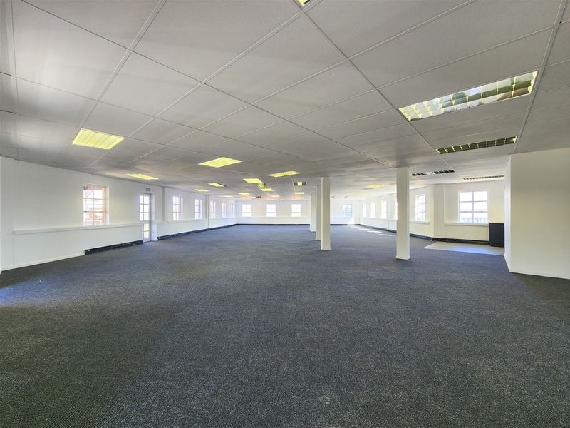 A spacious, open-plan office area featuring a suspended ceiling with recessed lighting, carpeted flooring, and structural support columns, offering a versatile workspace.