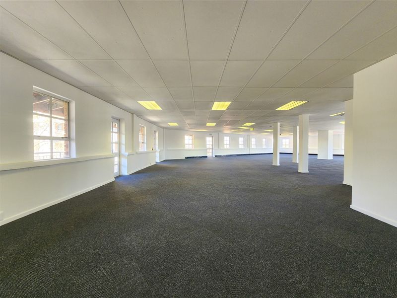 A spacious, open-plan office area featuring a suspended ceiling, recessed lighting, and carpeted flooring, offering a versatile workspace layout.