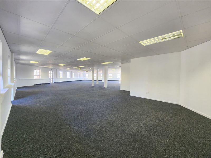 A spacious, open-plan office area featuring a suspended ceiling, recessed lighting, and neutral carpeting, providing a versatile workspace ready for custom configuration.