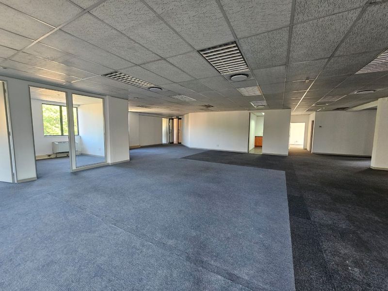 Spacious open-plan office area featuring a suspended ceiling, recessed lighting, and glass-partitioned private office space.